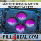 Männliche Seidenraupenmotte Nährende Flüssigkeit 04
